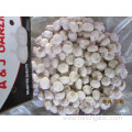Best Quality Crop 2019 Pure White Garlic